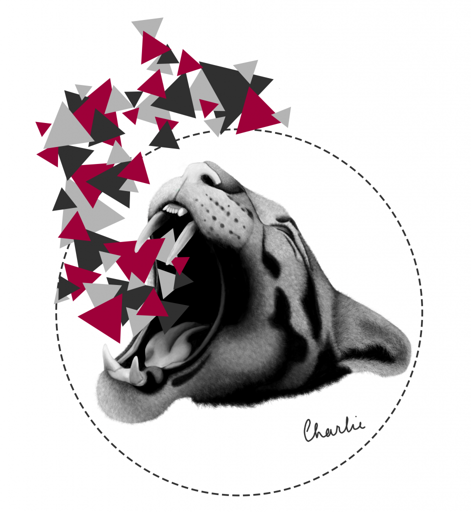 panthère abstraction gris clair gris foncé framboise compressémin